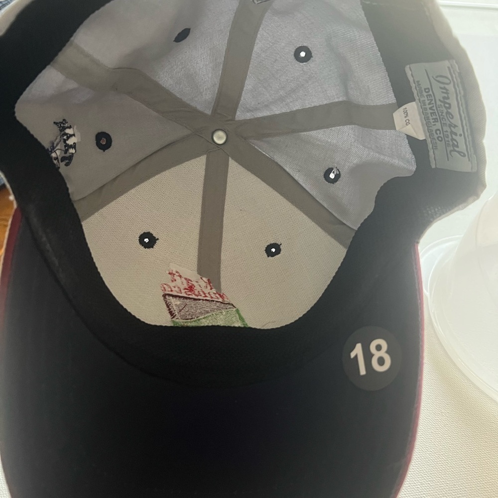 NWT Women's Gray Kraft Nabisco Championship Cap signed by Reilly Rankin LPGA - Picture 6 of 7